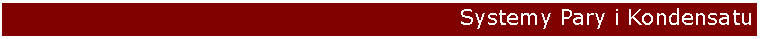 Pole tekstowe:  Systemy Pary i Kondensatu