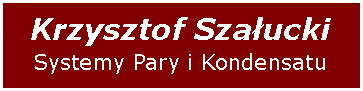 Pole tekstowe: Krzysztof Szaucki Systemy Pary i Kondensatu